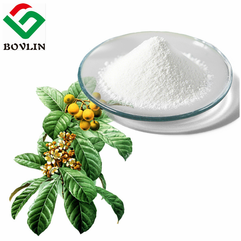 Ursolic Acid Powder